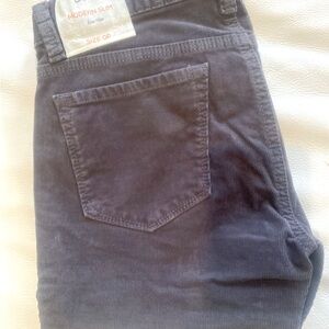 Ann taylor loft op pants